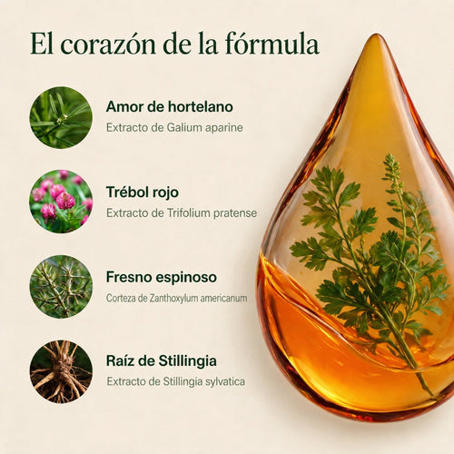 Revira – Gotas Botánicas Naturales