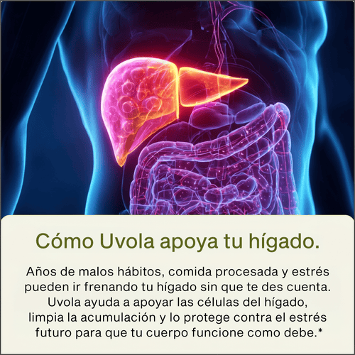 Uvola - Apoyo Hepático con Cardo Mariano